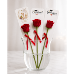 Akrilni nosač za cvet (Kartonske kutije) - BOX DECOR Akrilni nosač za cvet (Kartonske kutije) - www.dekorativnekutije.co.rs