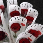 Papir za jedan cvet LOVE (Papiri) - www.dekorativnekutije.co.rs